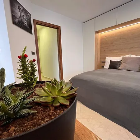 Leo Free Parking - President Palace Apartament *