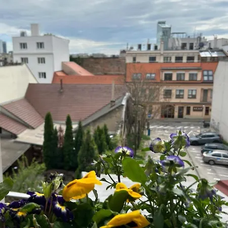 Leo Free Parking - President Palace *