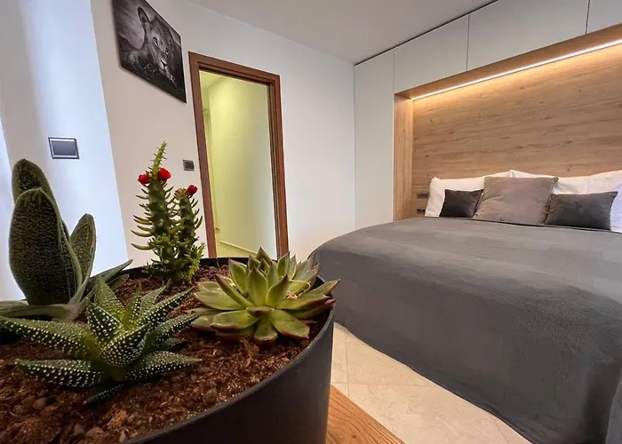 Leo Free Parking - President Palace Apartment *